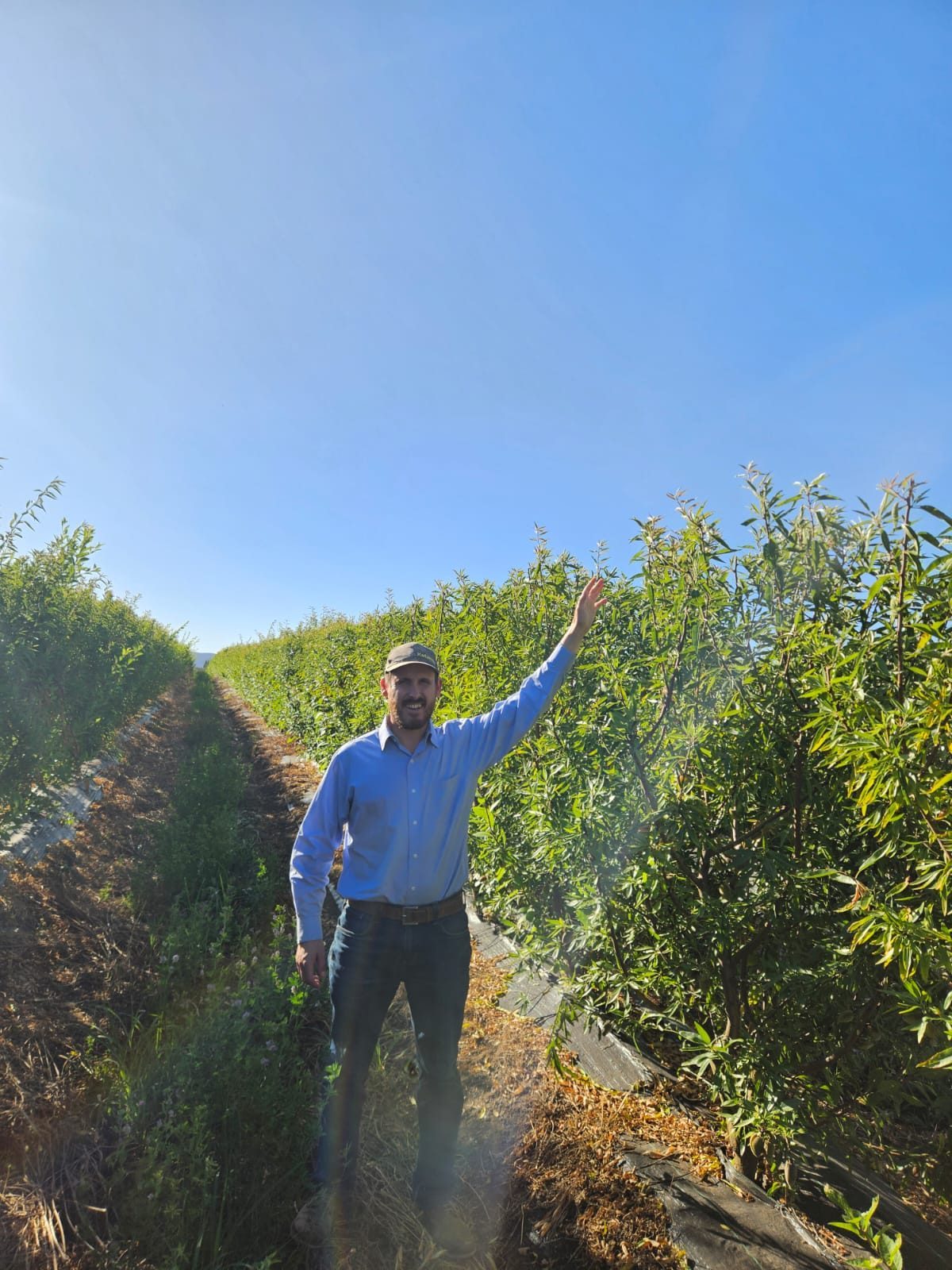 Manuel J. Blanco en el huerto de almendros